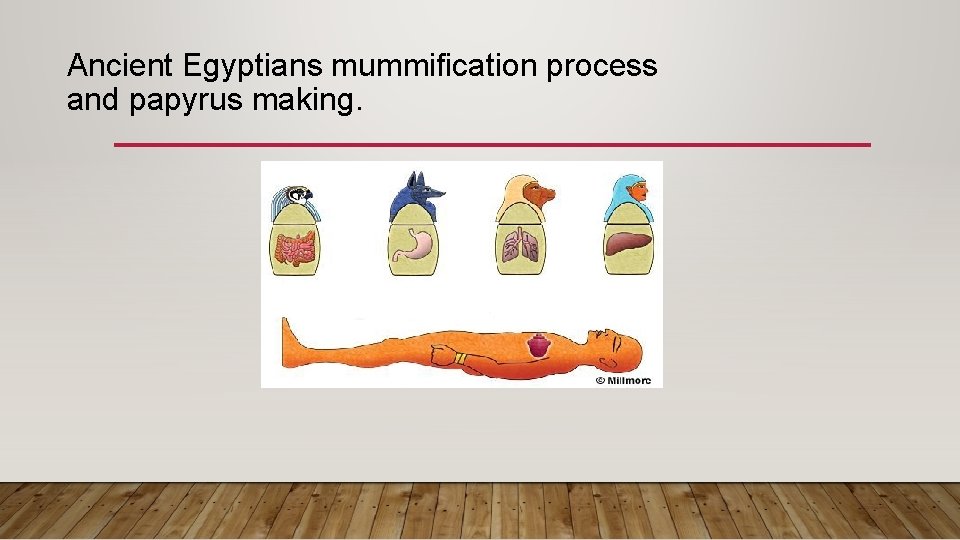 Ancient Egyptians mummification process and papyrus making. 