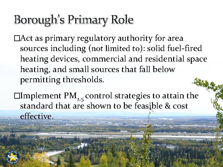 Borough’s Primary Role �Act as primary regulatory authority for area sources including (not limited