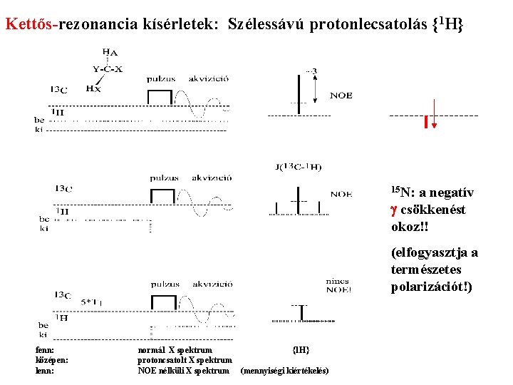 Kettős-rezonancia kísérletek: Szélessávú protonlecsatolás {1 H} 15 N: a negatív g csökkenést okoz!! (elfogyasztja