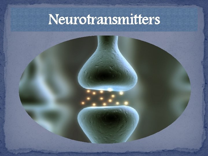 Neurotransmitters 