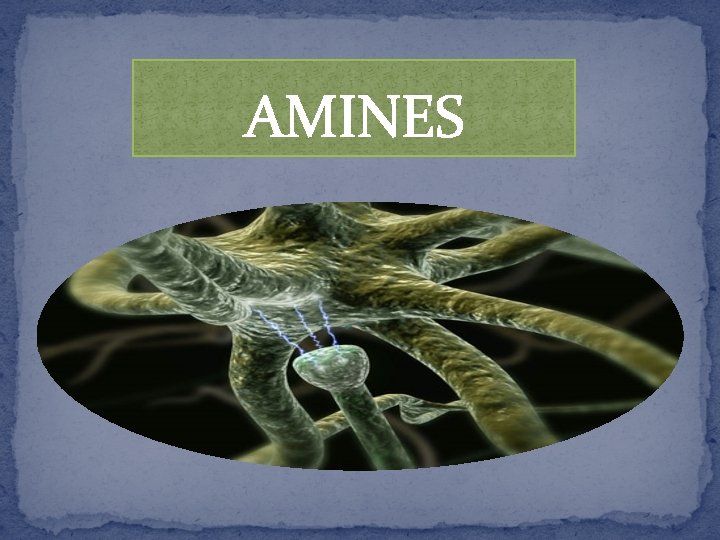 AMINES 