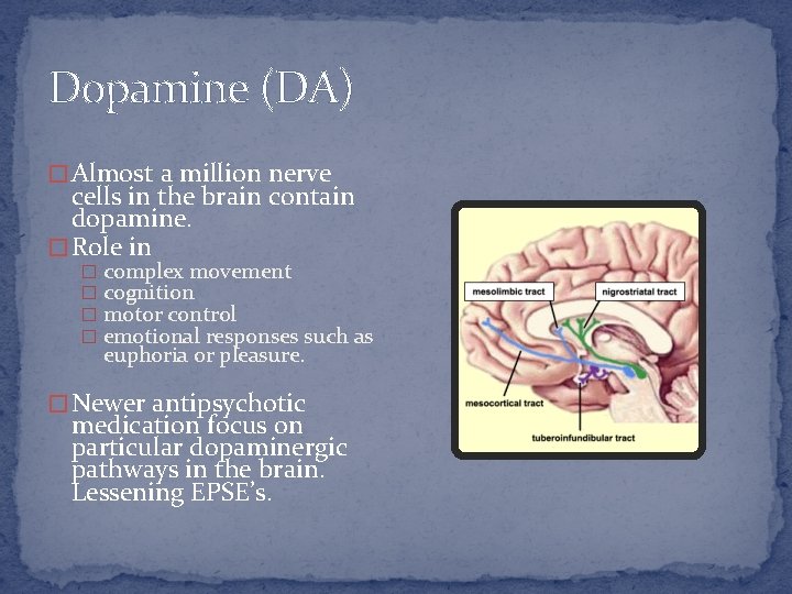 Dopamine (DA) � Almost a million nerve cells in the brain contain dopamine. �