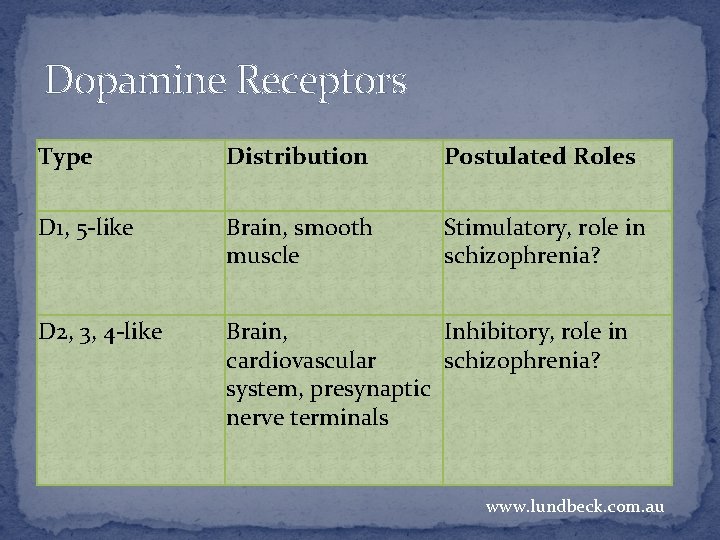 Dopamine Receptors Type Distribution Postulated Roles D 1, 5 -like Brain, smooth muscle Stimulatory,