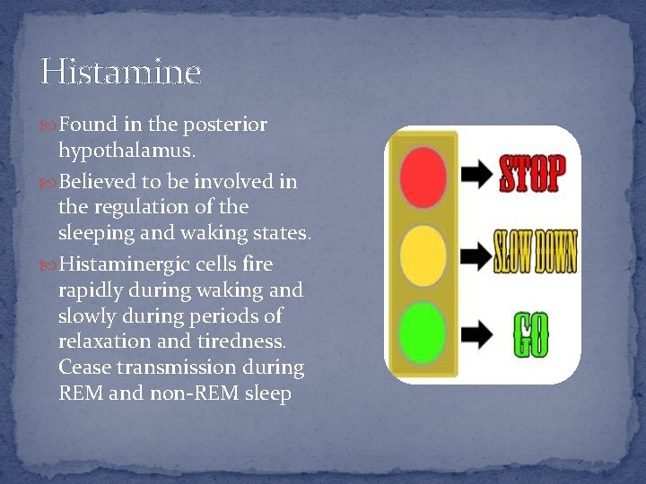 Histamine Found in the posterior hypothalamus. Believed to be involved in the regulation of