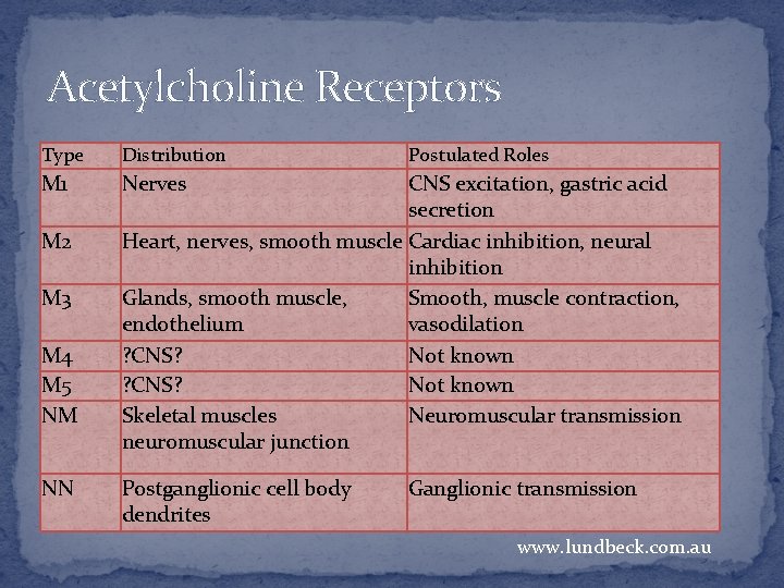 Acetylcholine Receptors Type Distribution M 1 Nerves M 2 M 3 M 4 M