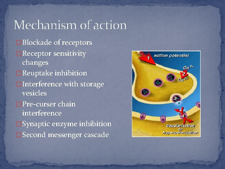 Mechanism of action � Blockade of receptors � Receptor sensitivity changes � Reuptake inhibition