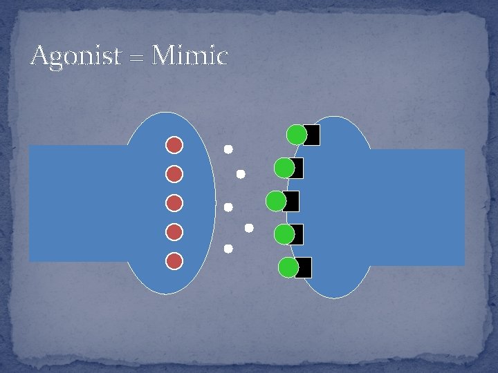 Agonist = Mimic 
