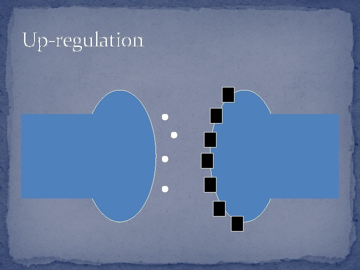 Up-regulation 