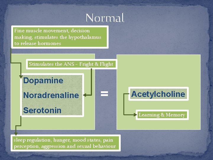 Normal Fine muscle movement, decision making, stimulates the hypothalamus to release hormones Stimulates the