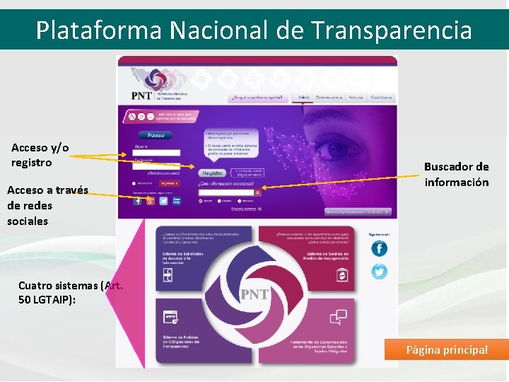 Plataforma Nacional de Transparencia Acceso y/o registro Acceso a través de redes sociales Buscador
