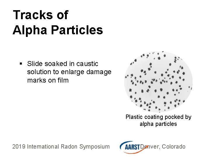 Tracks of Alpha Particles § Slide soaked in caustic solution to enlarge damage marks