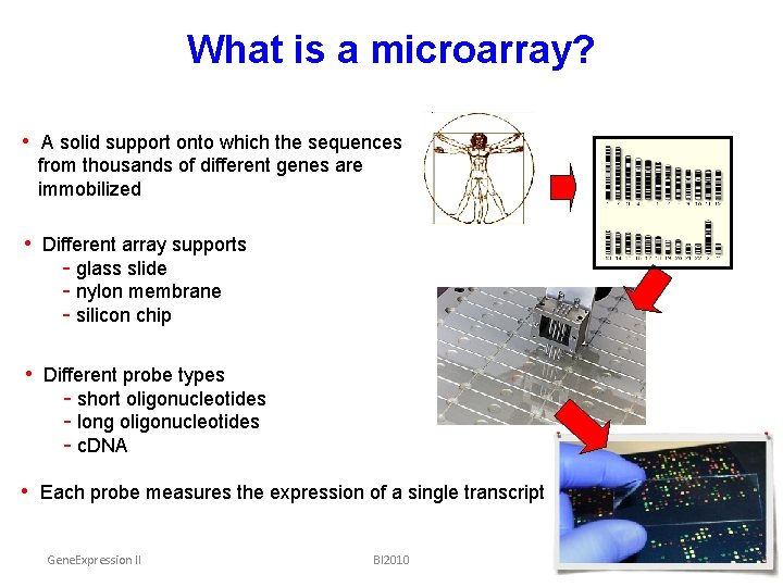 What is a microarray? • A solid support onto which the sequences from thousands