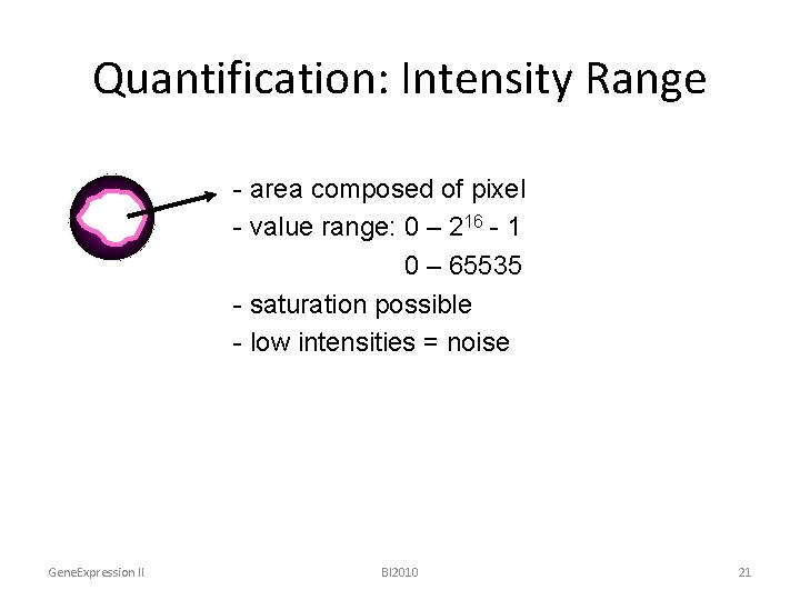 Quantification: Intensity Range - area composed of pixel - value range: 0 – 216