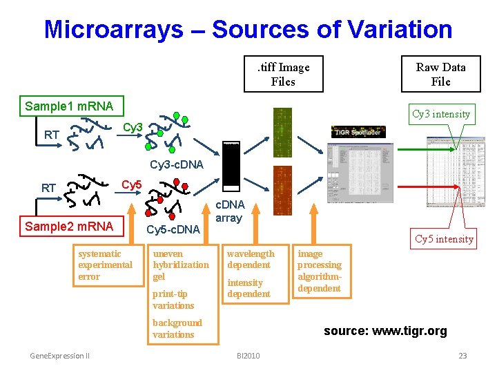 Microarrays – Sources of Variation. tiff Image Files Raw Data File Sample 1 m.