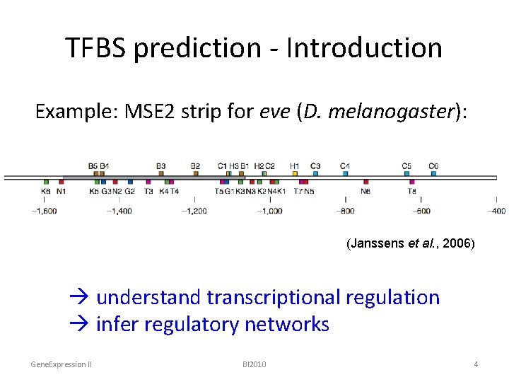 TFBS prediction - Introduction Example: MSE 2 strip for eve (D. melanogaster): (Janssens et