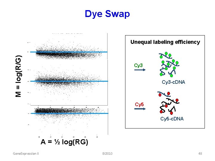 Dye Swap M = log(R/G) Unequal labeling efficiency Cy 3 -c. DNA A =