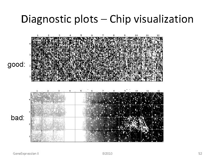 Diagnostic plots – Chip visualization good: bad: Gene. Expression II BI 2010 52 