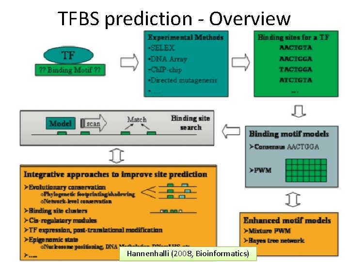 TFBS prediction - Overview Gene. Expression II BI 2010 Hannenhalli (2008, Bioinformatics) 6 