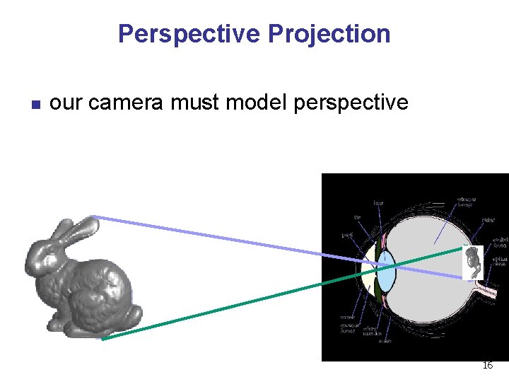Perspective Projection n our camera must model perspective 16 Perspective Projection n our camera must model perspective 16