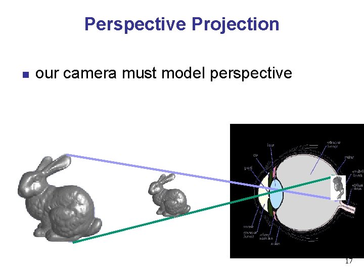 Perspective Projection n our camera must model perspective 17 Perspective Projection n our camera must model perspective 17
