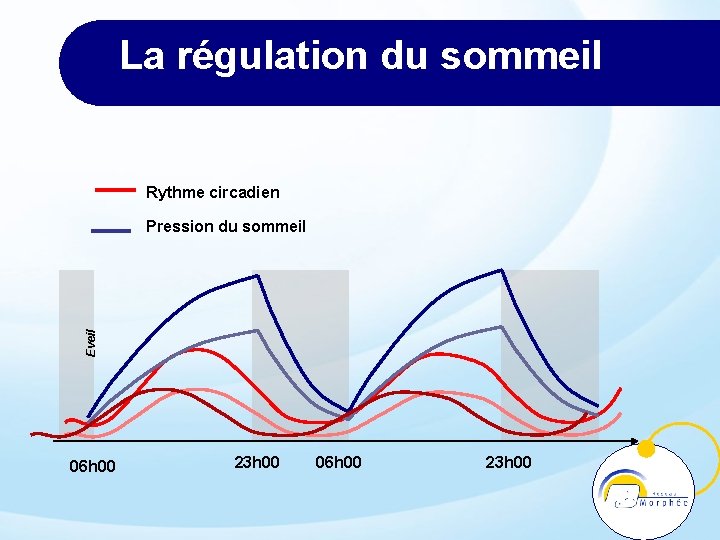 La régulation du sommeil Rythme circadien Eveil Pression du sommeil 06 h 00 23