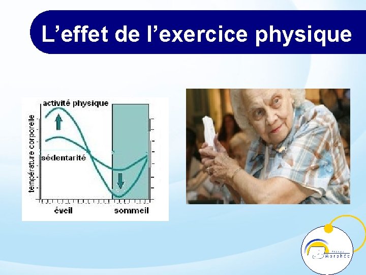 L’effet de l’exercice physique 