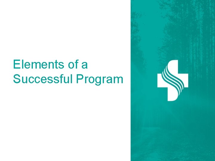 Elements of a Successful Program 