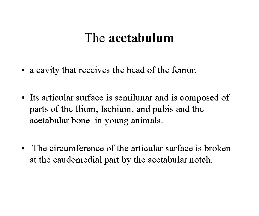 The acetabulum • a cavity that receives the head of the femur. • Its