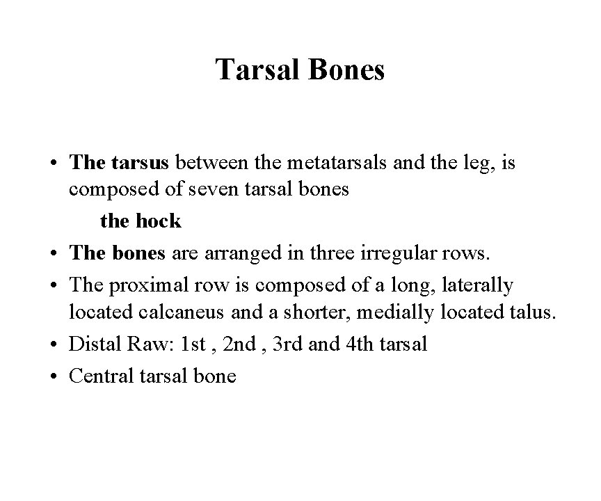Tarsal Bones • The tarsus between the metatarsals and the leg, is composed of