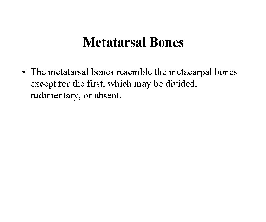 Metatarsal Bones • The metatarsal bones resemble the metacarpal bones except for the first,