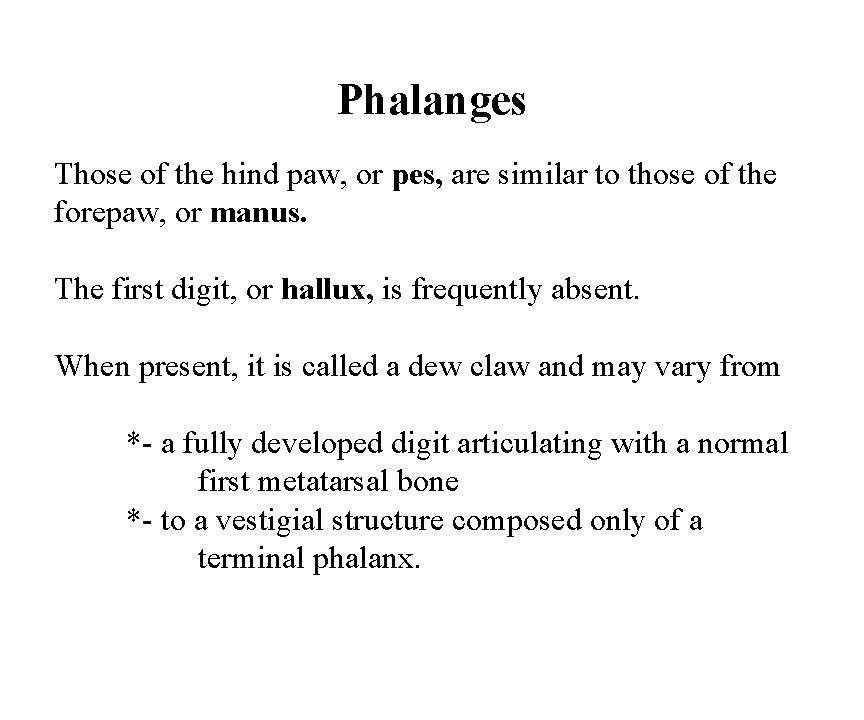 Phalanges Those of the hind paw, or pes, are similar to those of the