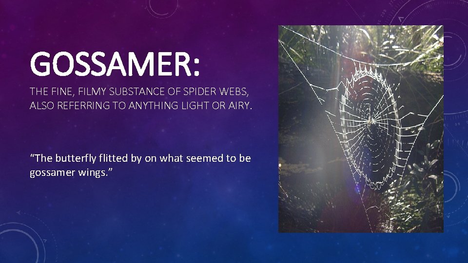 GOSSAMER: THE FINE, FILMY SUBSTANCE OF SPIDER WEBS, ALSO REFERRING TO ANYTHING LIGHT OR