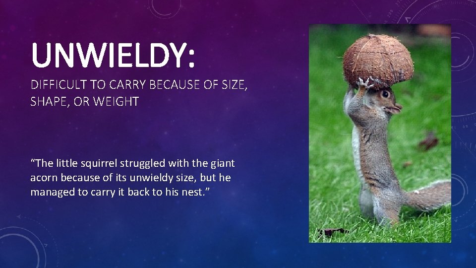 UNWIELDY: DIFFICULT TO CARRY BECAUSE OF SIZE, SHAPE, OR WEIGHT “The little squirrel struggled