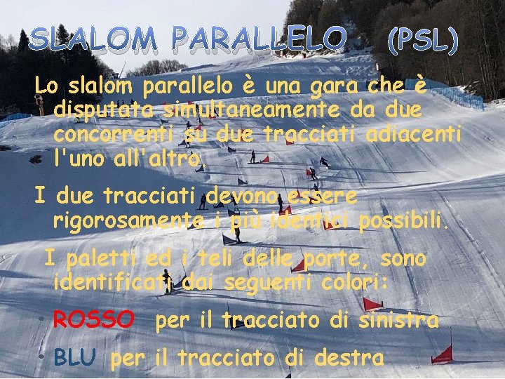 SLALOM PARALLELO (PSL) Lo slalom parallelo è una gara che è disputata simultaneamente da