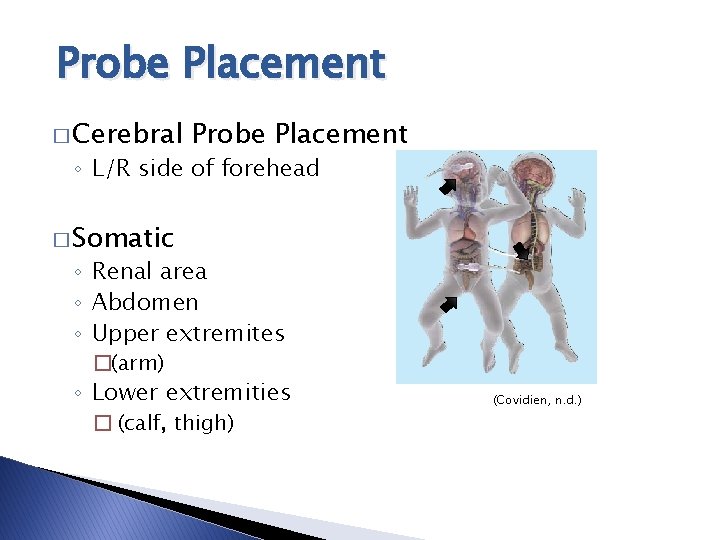 Probe Placement � Cerebral Probe Placement ◦ L/R side of forehead � Somatic ◦