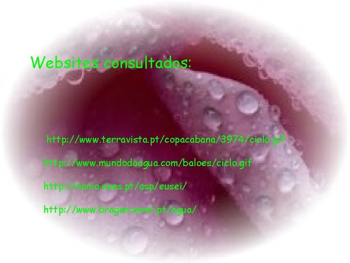 Websites consultados: http: //www. terravista. pt/copacabana/3974/ciclo. gif http: //www. mundodaagua. com/baloes/ciclo. gif http: //nonio.