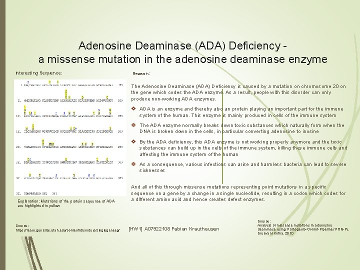 Adenosine Deaminase (ADA) Deficiency a missense mutation in the adenosine deaminase enzyme Interesting Sequence: