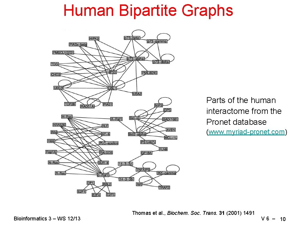 Human Bipartite Graphs Parts of the human interactome from the Pronet database (www. myriad-pronet.