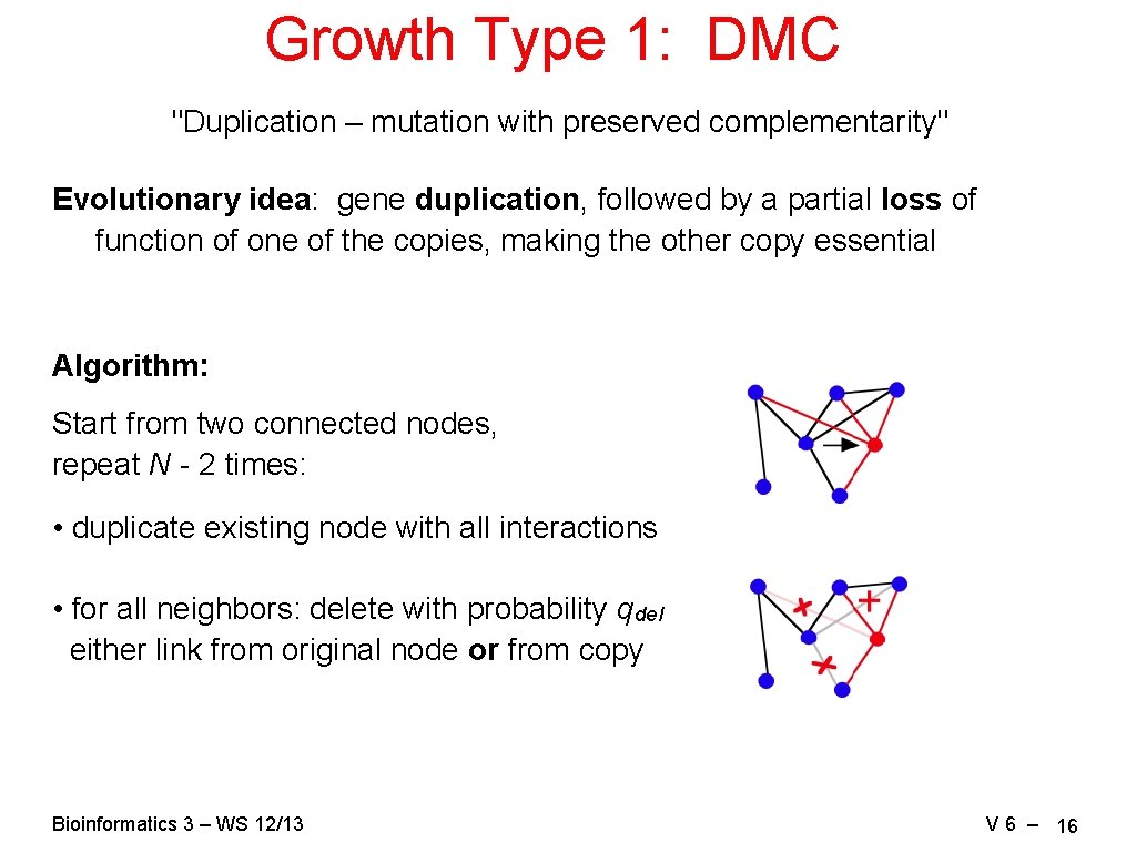 Growth Type 1: DMC "Duplication – mutation with preserved complementarity" Evolutionary idea: gene duplication,