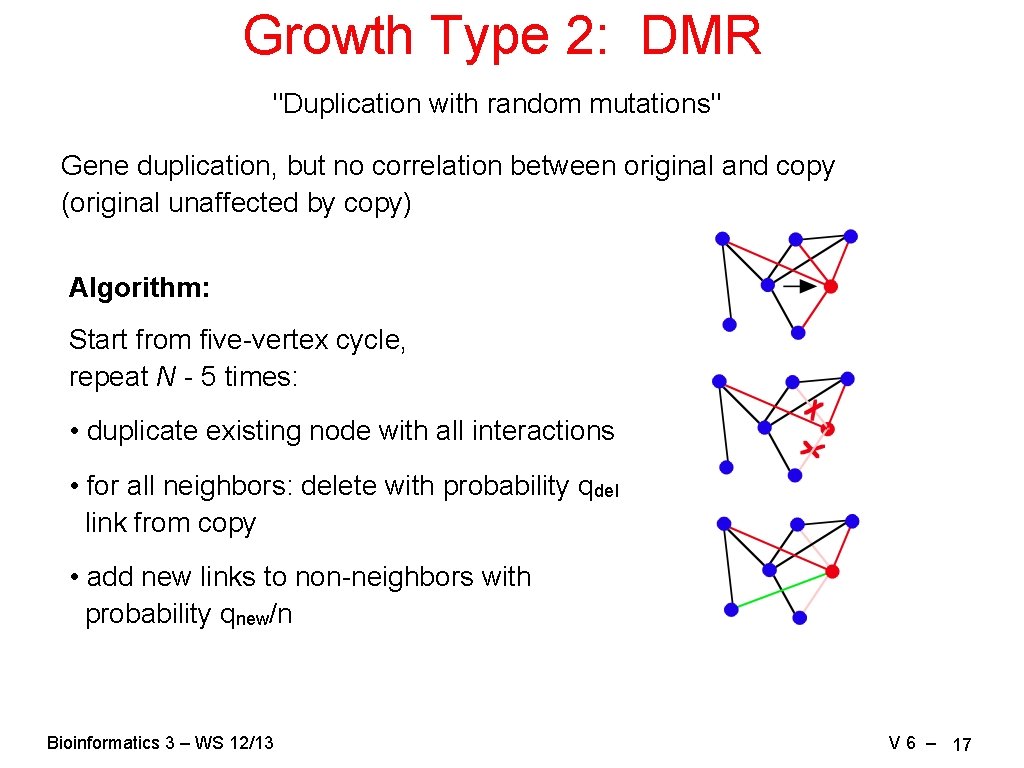 Growth Type 2: DMR "Duplication with random mutations" Gene duplication, but no correlation between