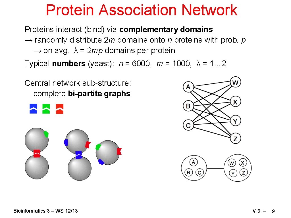 Protein Association Network Proteins interact (bind) via complementary domains → randomly distribute 2 m