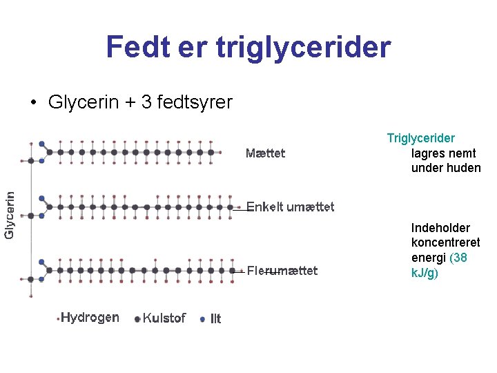 Fedt er triglycerider • Glycerin + 3 fedtsyrer Triglycerider lagres nemt under huden Indeholder