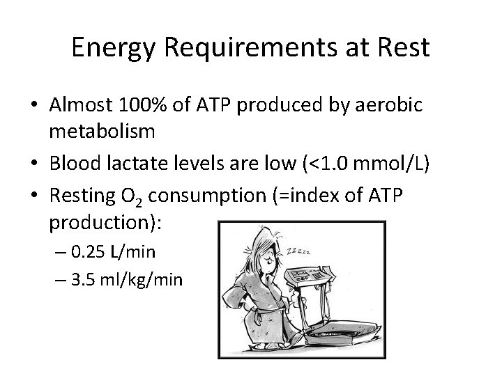 Energy Requirements at Rest • Almost 100% of ATP produced by aerobic metabolism •