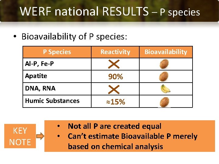 WERF national RESULTS – P species • Bioavailability of P species: P Species Reactivity