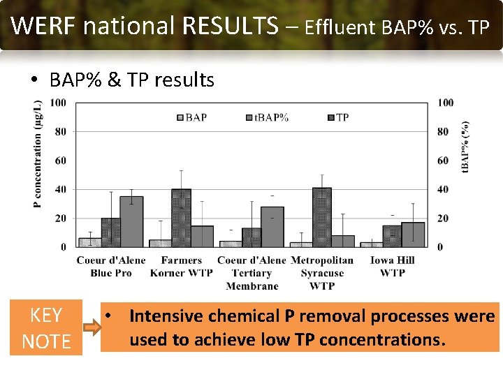 WERF national RESULTS –– Effluent BAP% TRP vs. BAP TP RESULTS • BAP% &