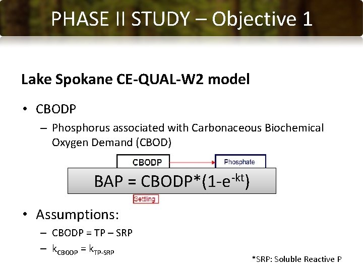 PHASE IICONCLUSIONS STUDY – Objective 1 Lake Spokane CE-QUAL-W 2 model • CBODP –