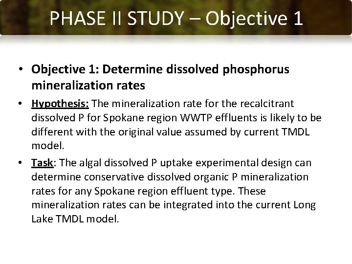 PHASE IICONCLUSIONS STUDY – Objective 1 • Objective 1: Determine dissolved phosphorus mineralization rates