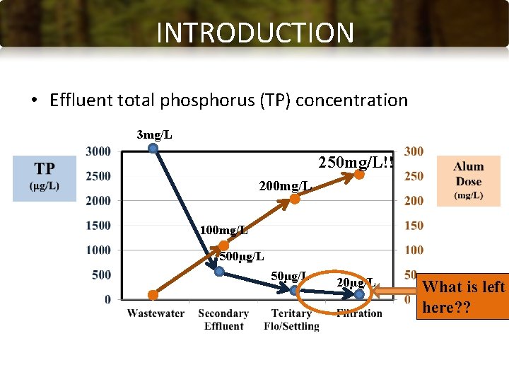 INTRODUCTION • Effluent total phosphorus (TP) concentration 3 mg/L 250 mg/L!! 200 mg/L 100