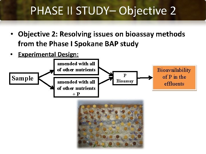 PHASE CONCLUSIONS II STUDY– Objective 2 • Objective 2: Resolving issues on bioassay methods