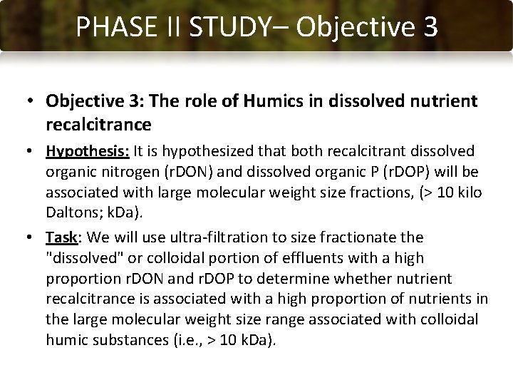 PHASE CONCLUSIONS II STUDY– Objective 3 • Objective 3: The role of Humics in
